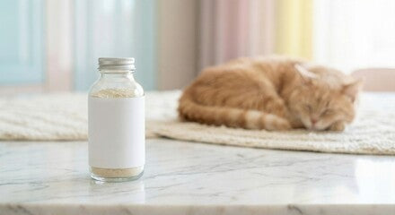 Odor Absorbing Carpet Powder